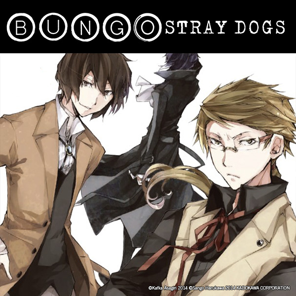 Bungo Stray Dogs (light novel)