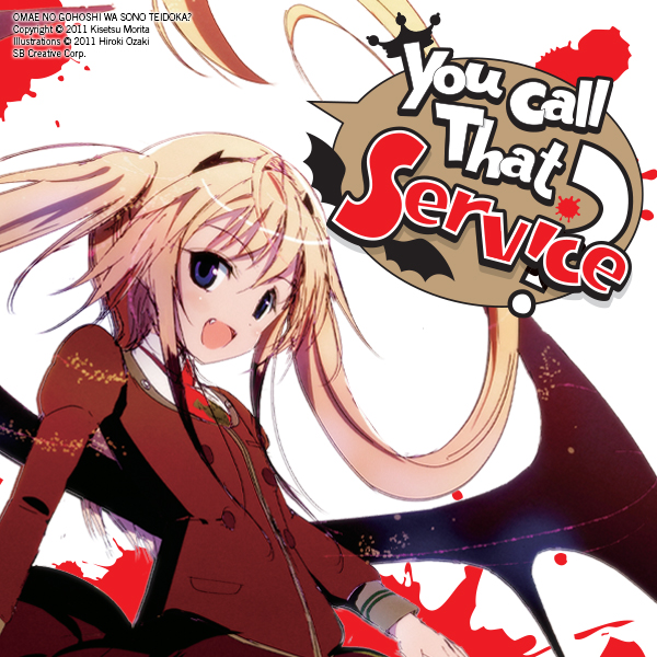 You Call That Service? (light novel)