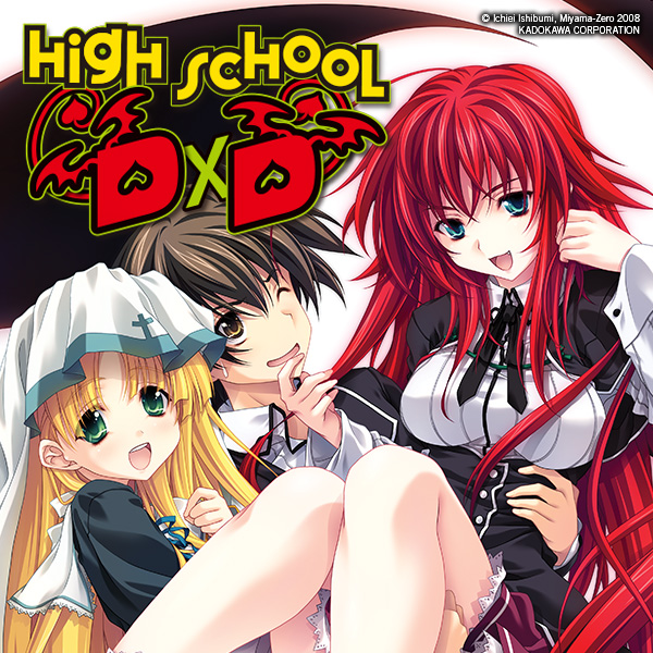 High School DxD (light novel)