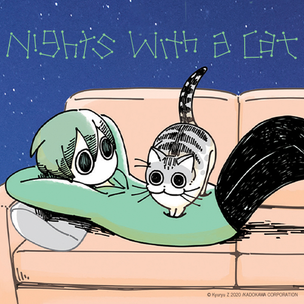 Nights with a Cat