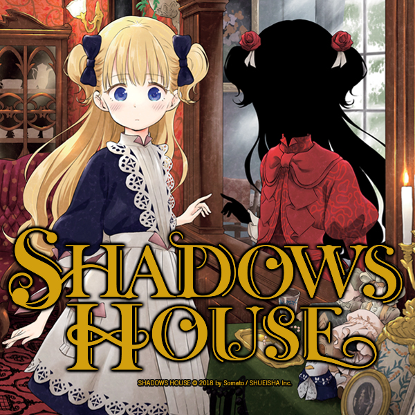 Shadows House